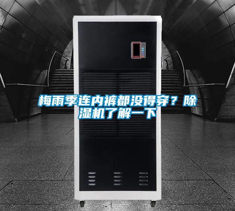 梅雨季連內褲都沒得穿？91看片在线下载機了解一下