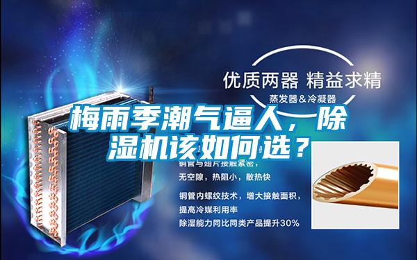 梅雨季潮氣逼人，91看片在线下载機該如何選？