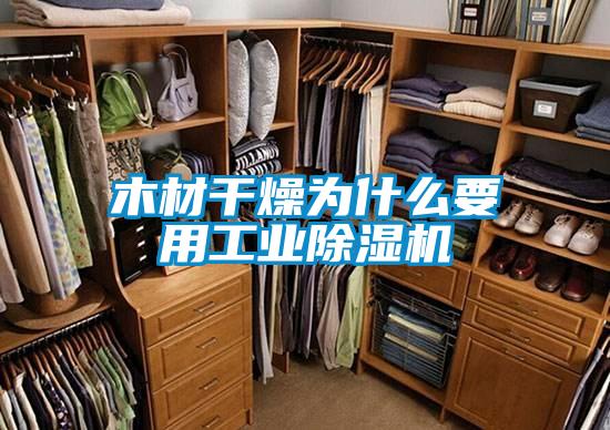 木材幹燥為什麽要用工業91看片在线下载機