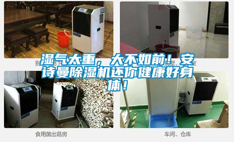 濕氣太重，大不如前！91免费看片APP91看片在线下载機還你健康好身體！