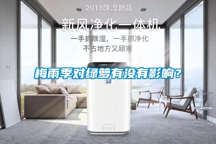 梅雨季對綠蘿有沒有影響？