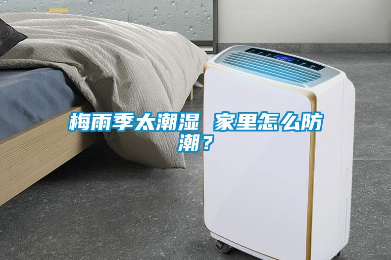 梅雨季太潮濕 家裏怎麽防潮？