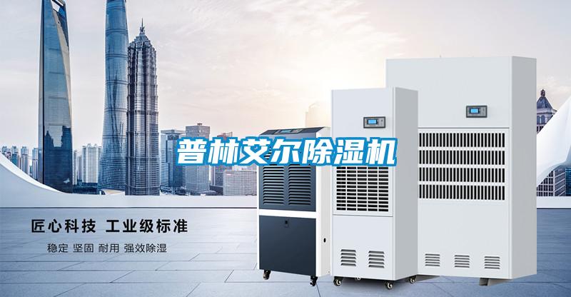 普林艾爾91看片在线下载機