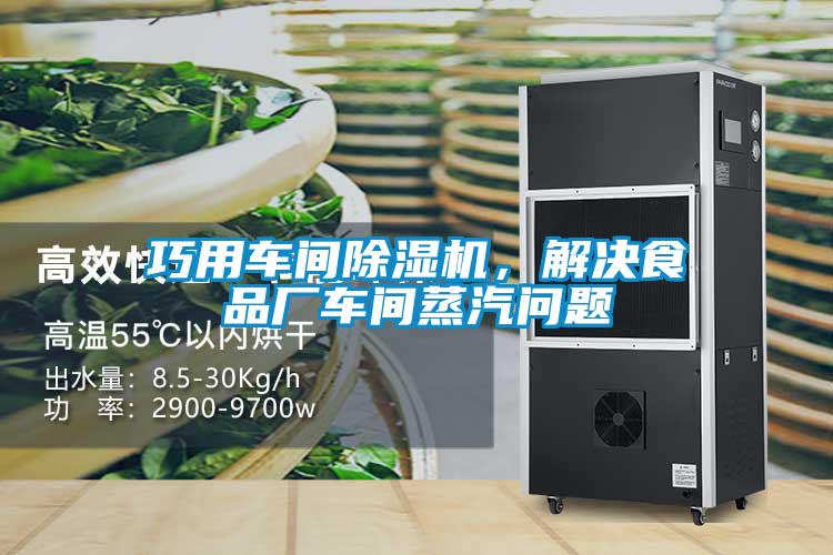 巧用車間91看片在线下载機，解決食品廠車間蒸汽問題