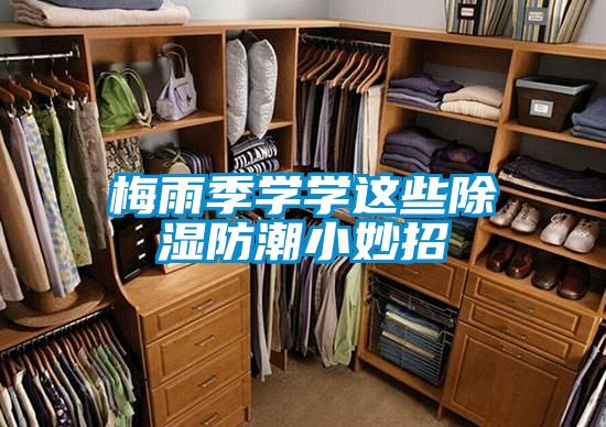 梅雨季學學這些91看片在线下载防潮小妙招