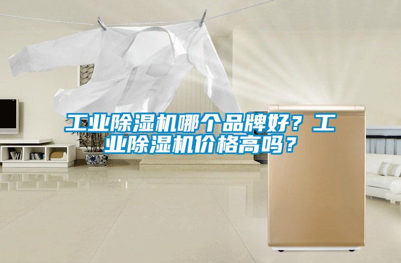 工業91看片在线下载機哪個品牌好？工業91看片在线下载機價格高嗎？