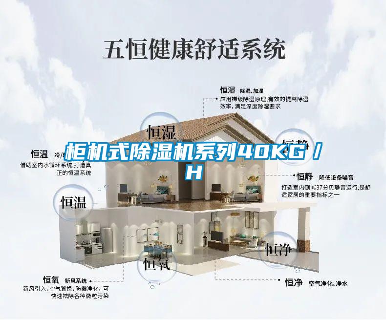 櫃機式91看片在线下载機係列40KG／H