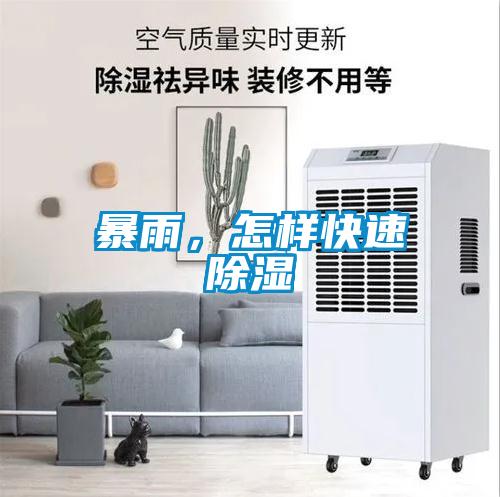 暴雨，怎樣快速91看片在线下载