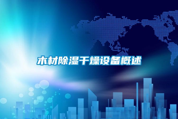 木材91看片在线下载幹燥設備概述