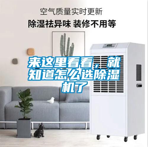 來這裏看看，就知道怎麽選91看片在线下载機了