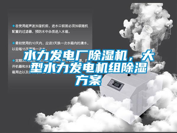 水力發電廠91看片在线下载機，大型水力發電機組91看片在线下载免费看片下载