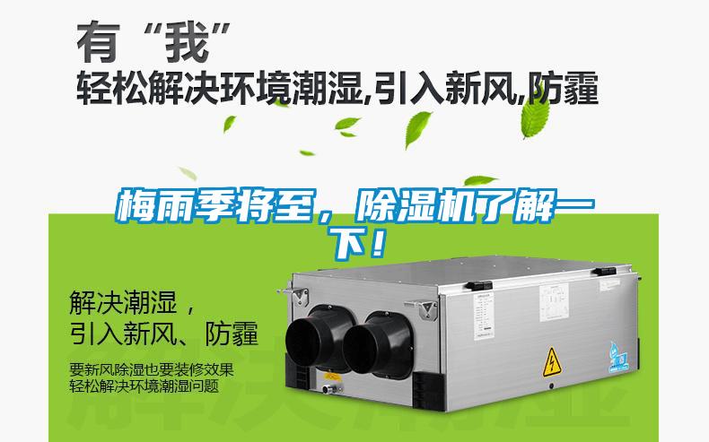 梅雨季將至，91看片在线下载機了解一下！