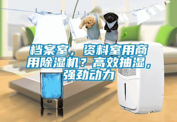 檔案室，資料室用商用91看片在线下载機？高效抽濕，強勁動力