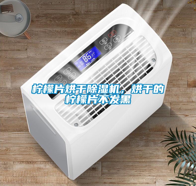 檸檬片烘幹91看片在线下载機，烘幹的檸檬片不發黑