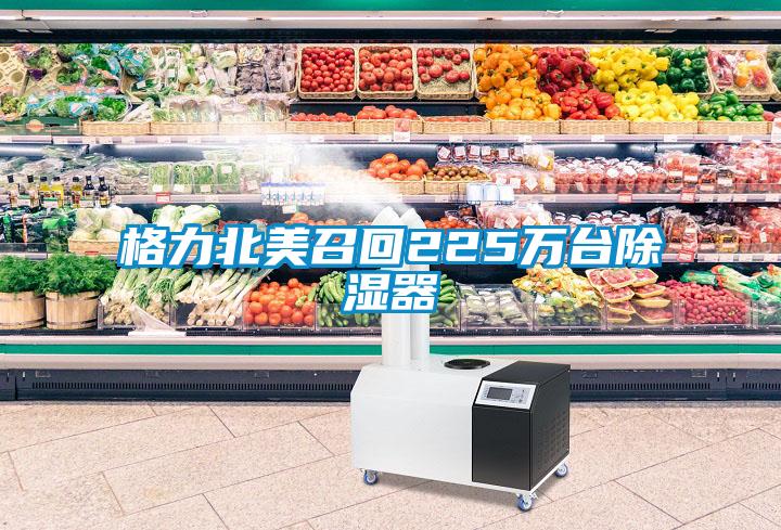 格力北美召回225萬台91看片在线下载器