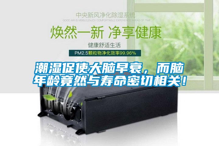 潮濕促使大腦早衰，而腦年齡竟然與壽命密切相關！