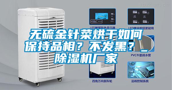 無硫金針菜烘幹如何保持品相？不發黑？_91看片在线下载機廠家