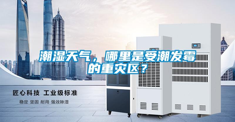 潮濕天氣，哪裏是受潮發黴的重災區？