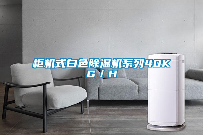 櫃機式白色91看片在线下载機係列40KG／H