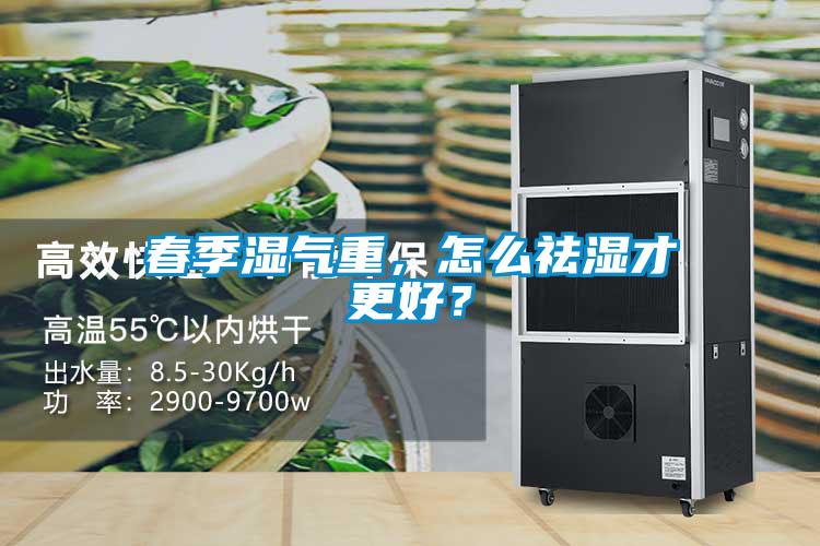 春季濕氣重，怎麽祛濕才更好？