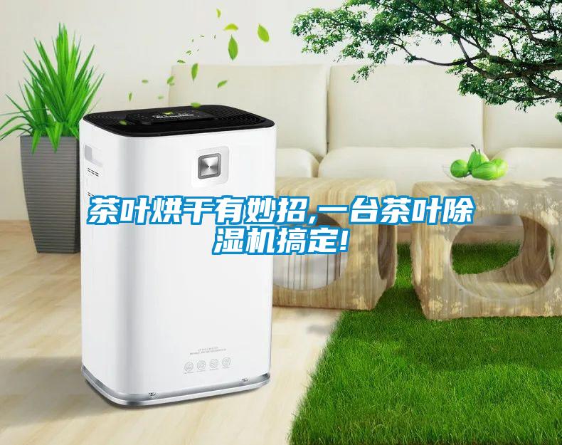 茶葉烘幹有妙招,一台茶葉91看片在线下载機搞定!