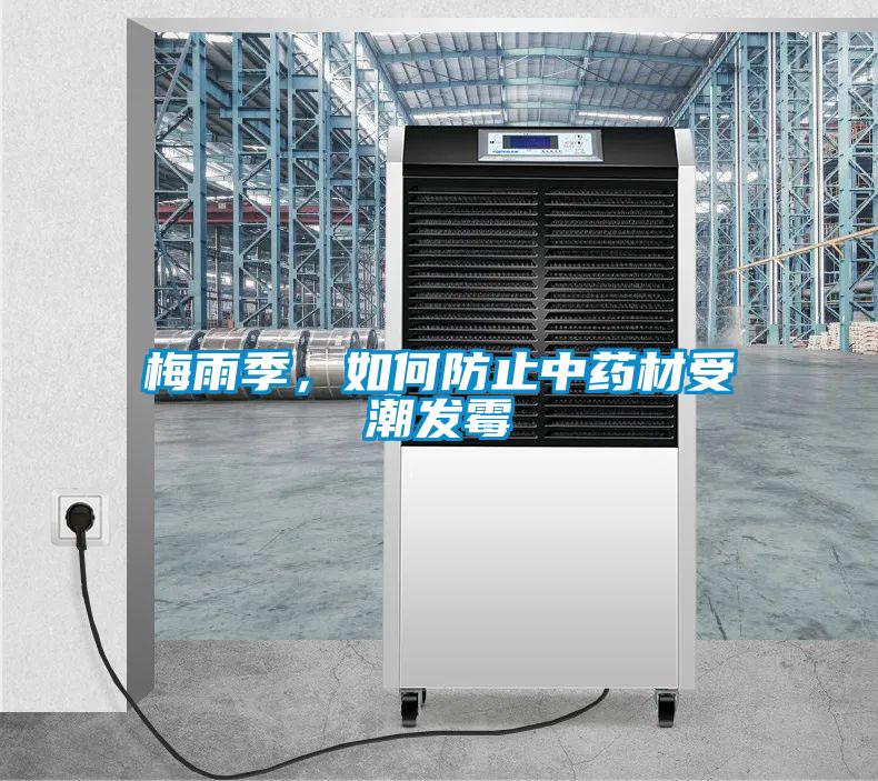 梅雨季，如何防止中藥材受潮發黴
