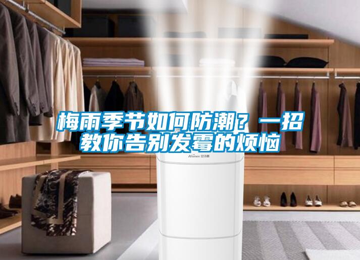 梅雨季節如何防潮？一招教你告別發黴的煩惱