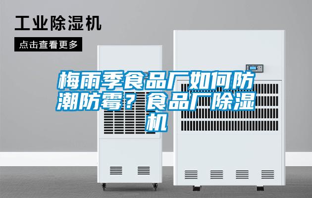 梅雨季食品廠如何防潮防黴？食品廠91看片在线下载機