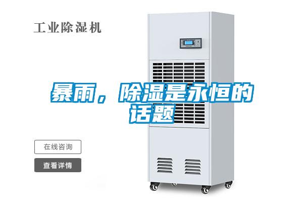 暴雨，91看片在线下载是永恒的話題