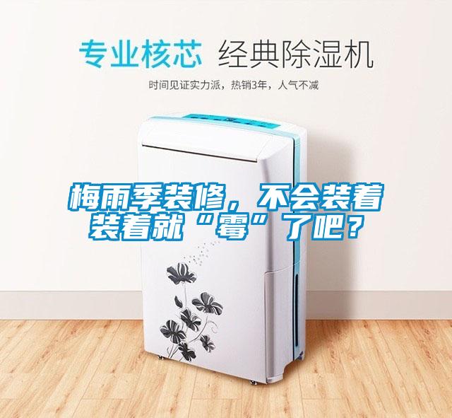梅雨季裝修，不會裝著裝著就“黴”了吧？