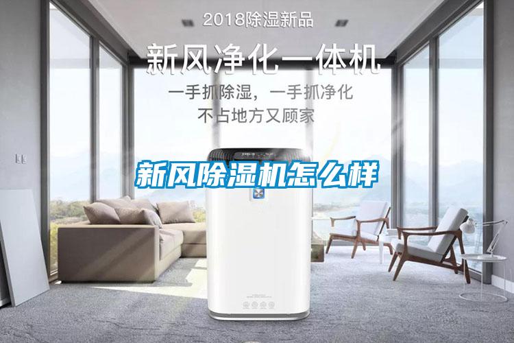 新風91看片在线下载機怎麽樣