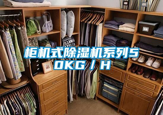 櫃機式91看片在线下载機係列50KG／H