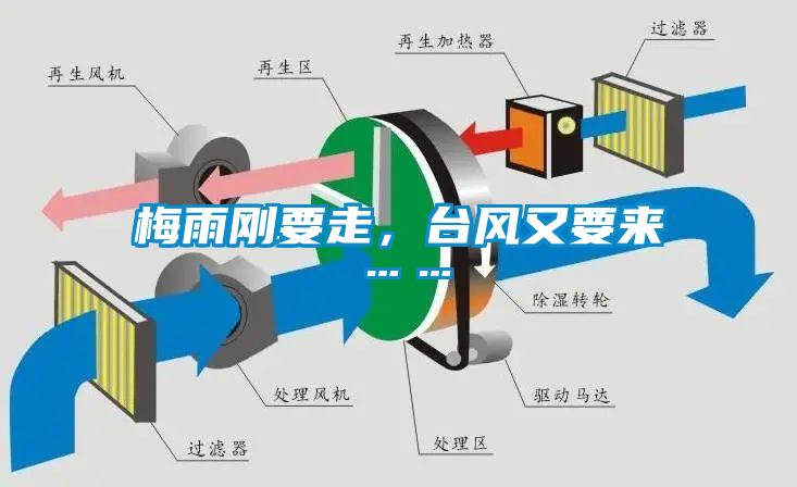 梅雨剛要走，台風又要來……