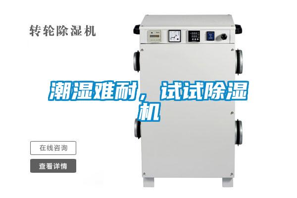 潮濕難耐，試試91看片在线下载機