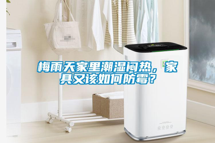 梅雨天家裏潮濕悶熱，家具又該如何防黴？