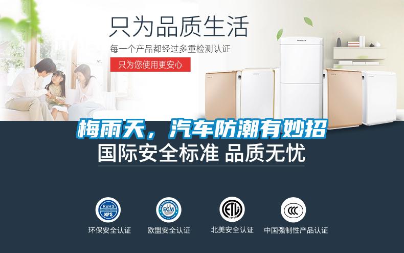 梅雨天，汽車防潮有妙招