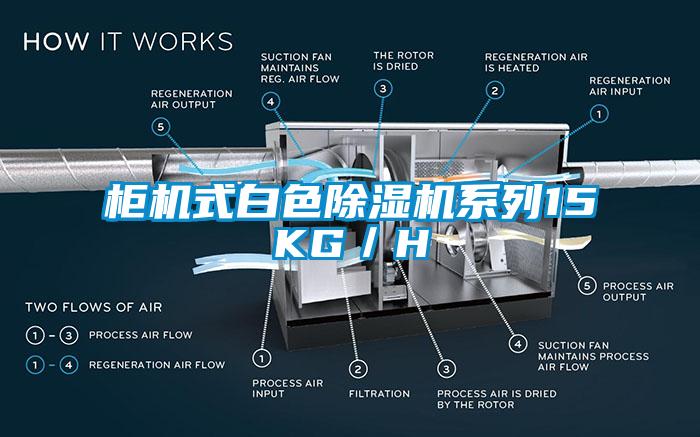 櫃機式白色91看片在线下载機係列15KG／H