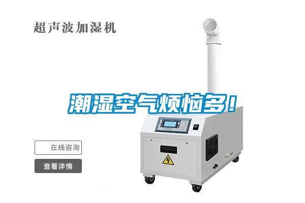 潮濕空氣煩惱多！