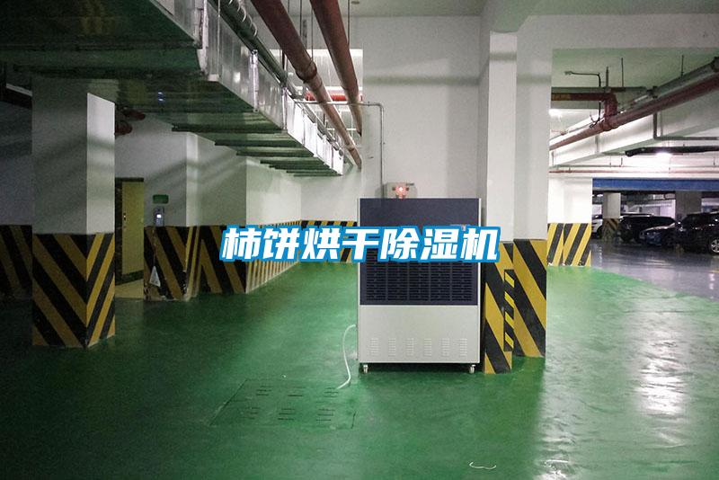 柿餅烘幹91看片在线下载機