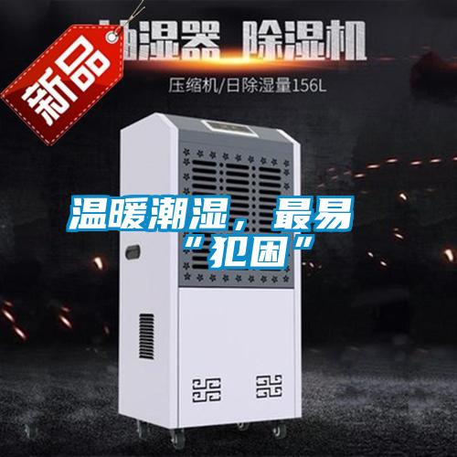 溫暖潮濕，最易“犯困”