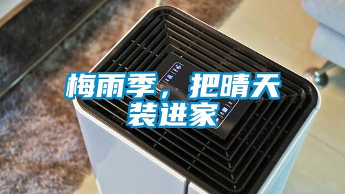 梅雨季，把晴天裝進家