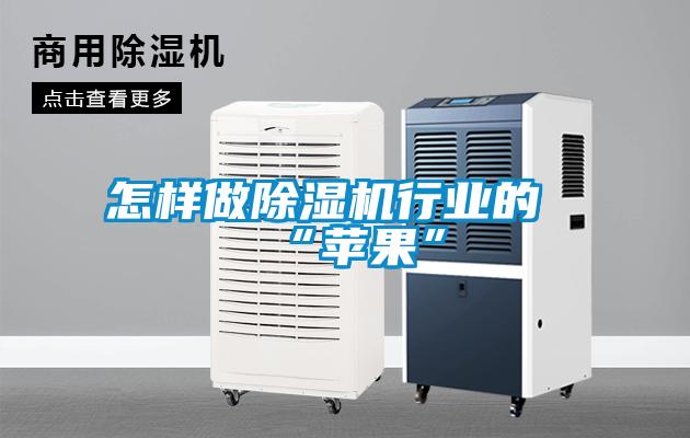 怎樣做91看片在线下载機行業的“蘋果”