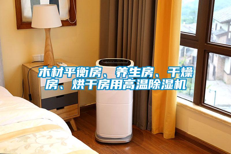 木材平衡房、養生房、幹燥房、烘幹房用高溫91看片在线下载機