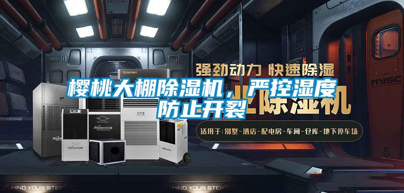 櫻桃大棚91看片在线下载機，嚴控濕度防止開裂