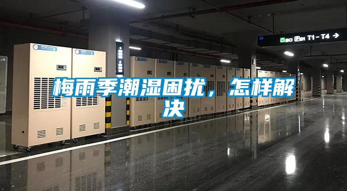 梅雨季潮濕困擾，怎樣解決