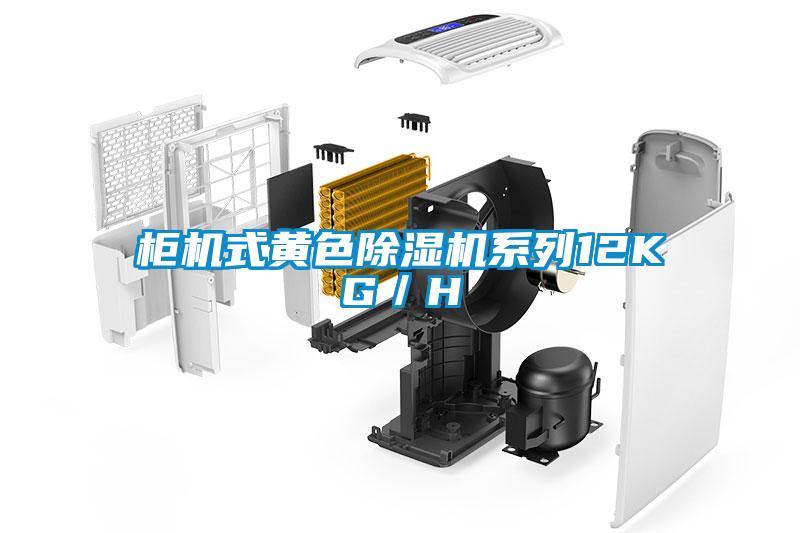 櫃機式黃色91看片在线下载機係列12KG／H
