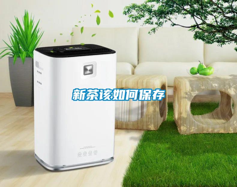 新茶該如何保存