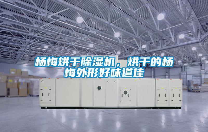 楊梅烘幹91看片在线下载機，烘幹的楊梅外形好味道佳
