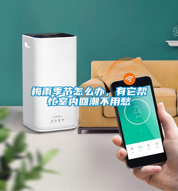 梅雨季節怎麽辦，有它幫忙室內回潮不用愁