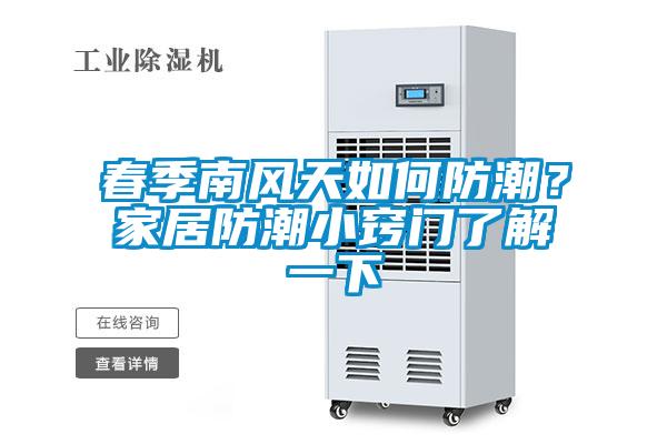 春季南風天如何防潮？家居防潮小竅門了解一下